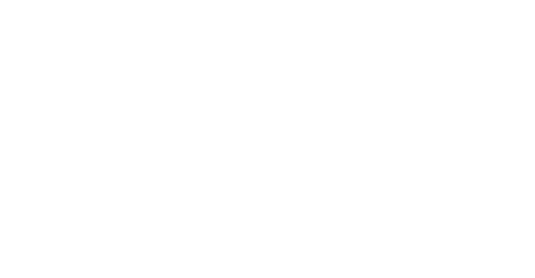 Sayulita Life logo