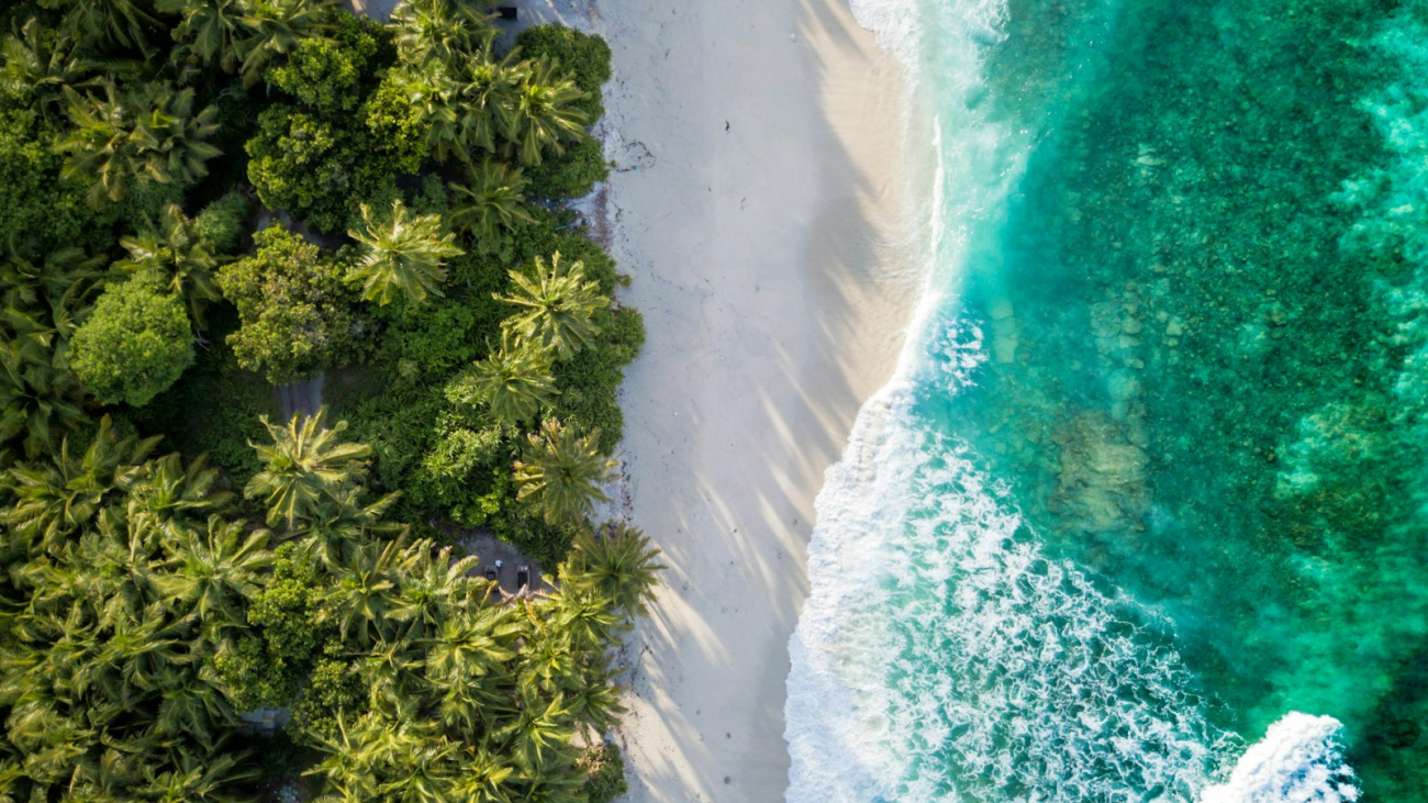 Aerial view of a tropical beach and turquoise water, illustrating the range of beaches near Sayulita