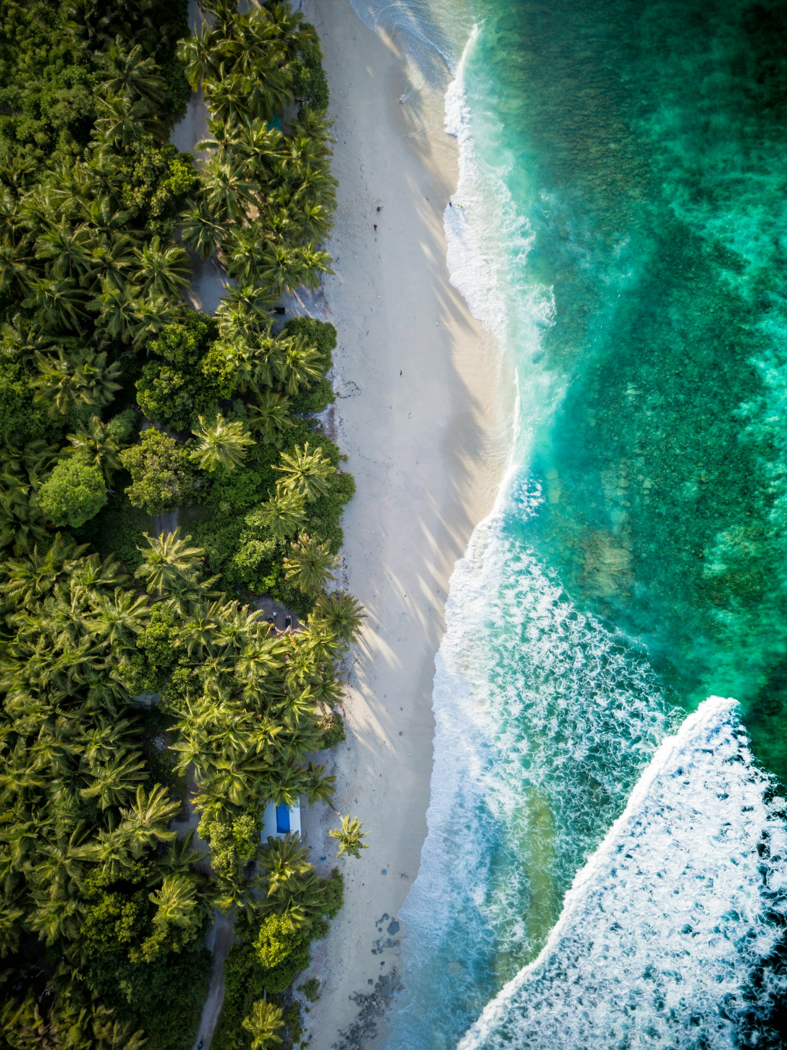 A tropical beach seen from above near Sayulita