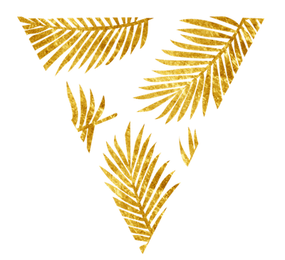 Villa Vargas Sayulita logo icon