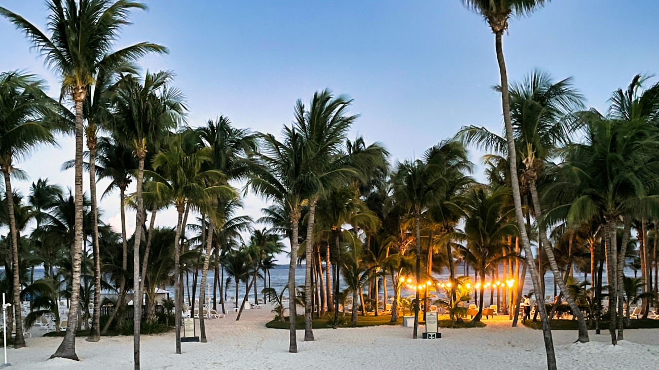 Palm-lined beach lit up at night, the kind of setting for Sayulita nightlife
