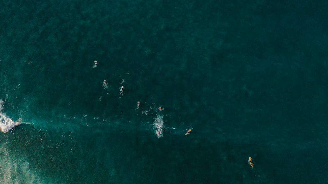 Aerial view of people surfing in Sayulita