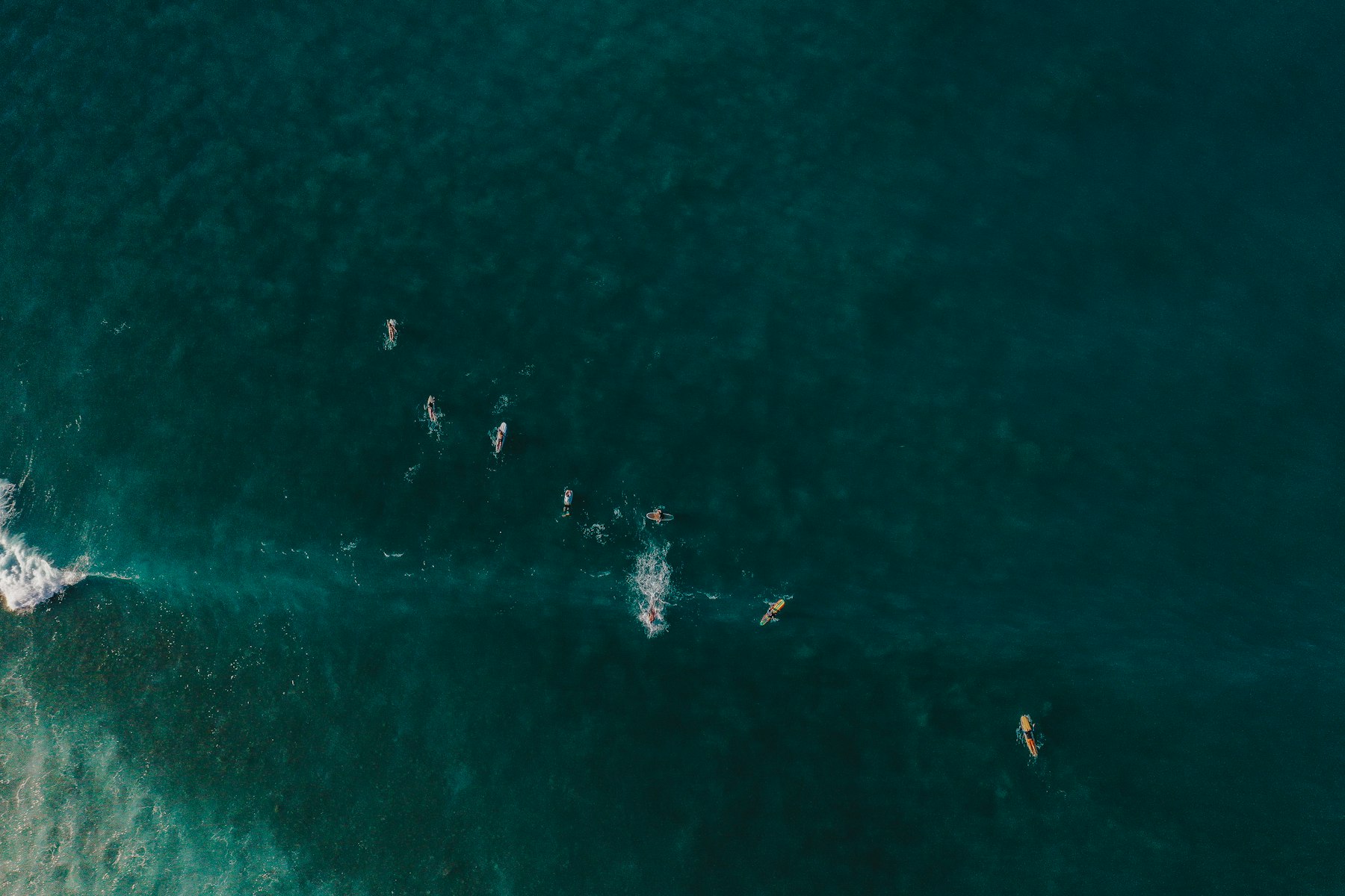 Surfers in the water at Sayulita, seen from above